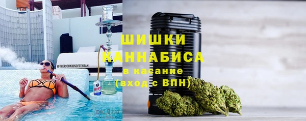 spice Богородск