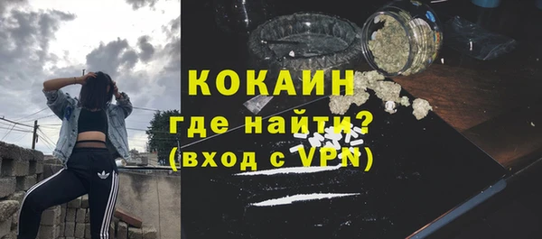 spice Богородск