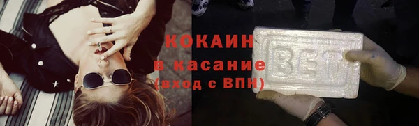 сатива Сосновка