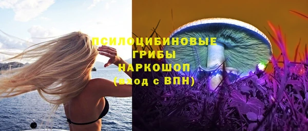 mix Бородино